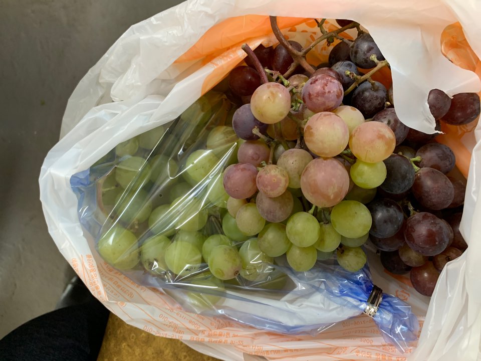 KakaoTalk_20191024_165727431_20.jpg