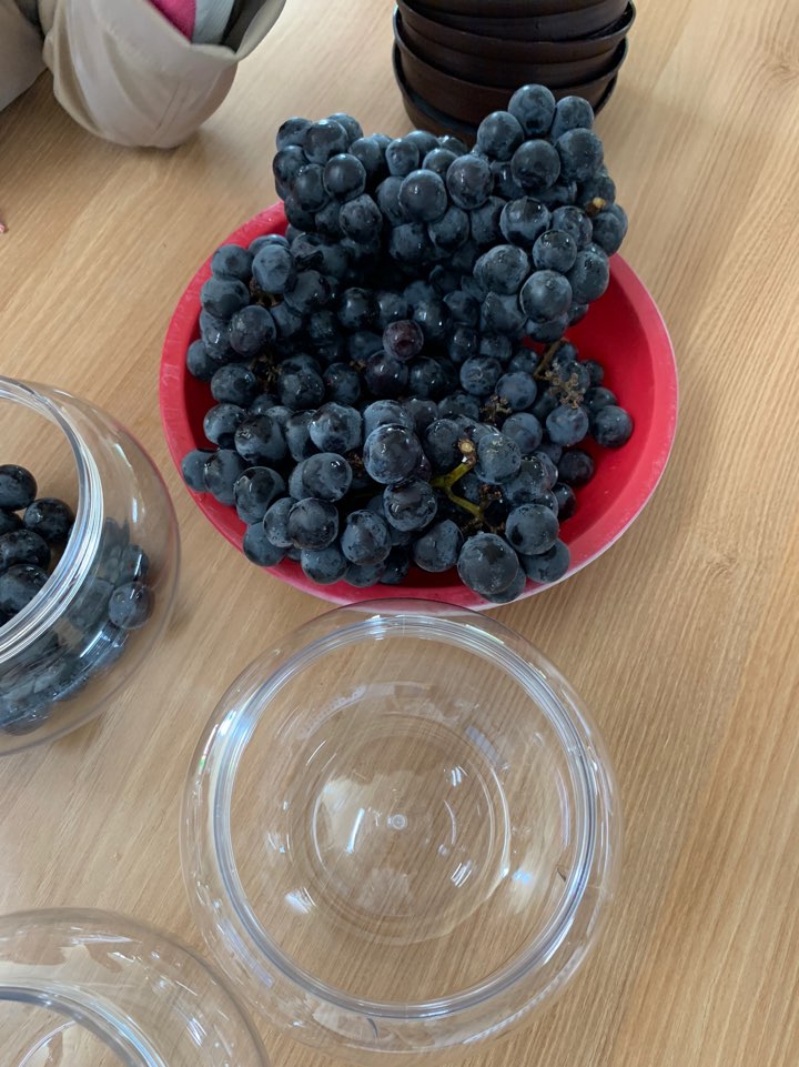KakaoTalk_20191024_165732491_24.jpg